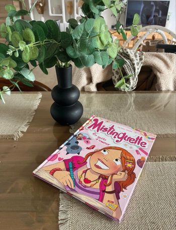 Livre les mistinguettes 