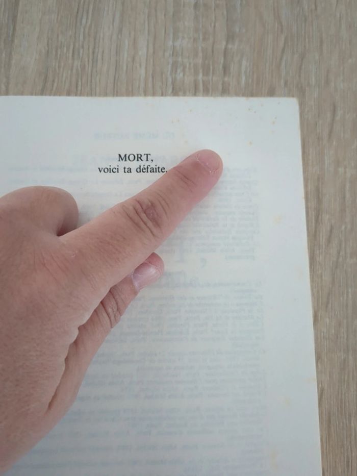 Mort voici ta défaite - livre - photo numéro 4