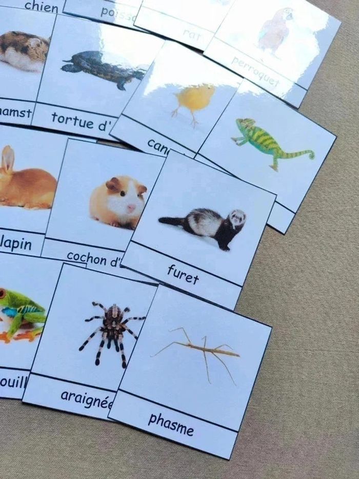 18 cartes de nomenclature des animaux domestiques - photo numéro 5