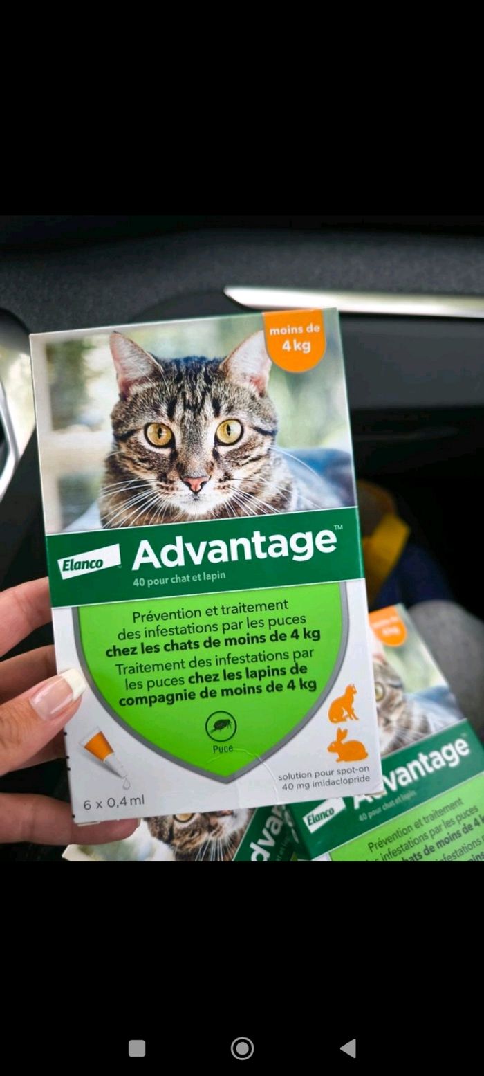 Pipette chat et lapin anti puces