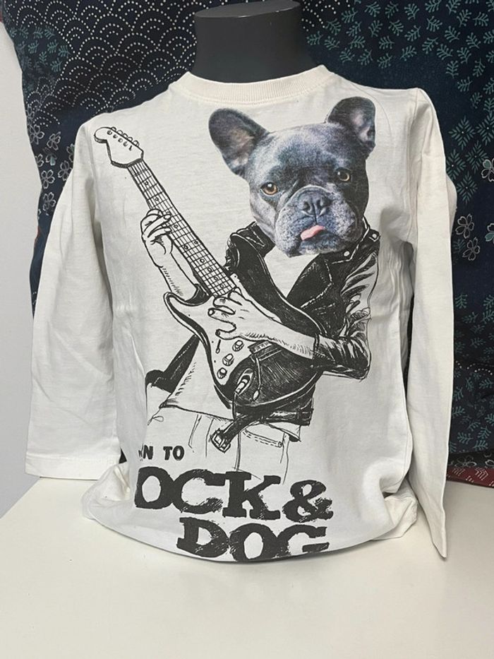Tee shirt rock&dog zara boys