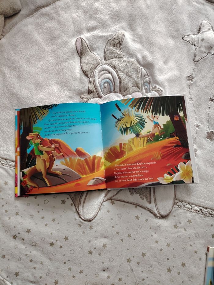 Livre le kangourou - photo numéro 3