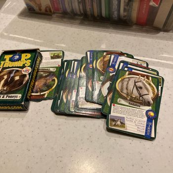 Jeux de cartes sur chevaux poneys