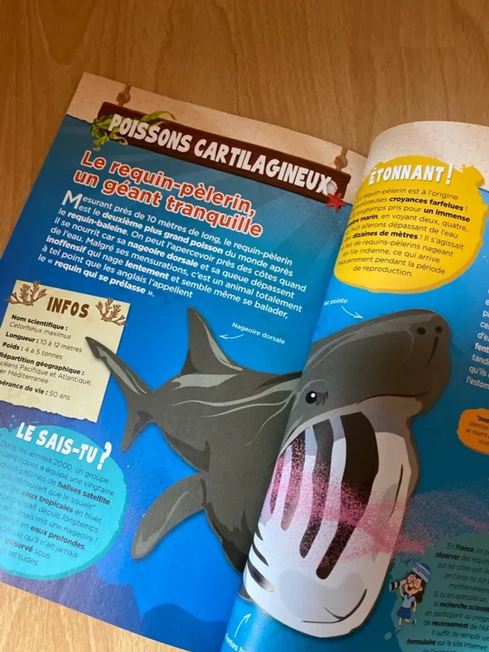 Magazine Animaux marins - photo numéro 3
