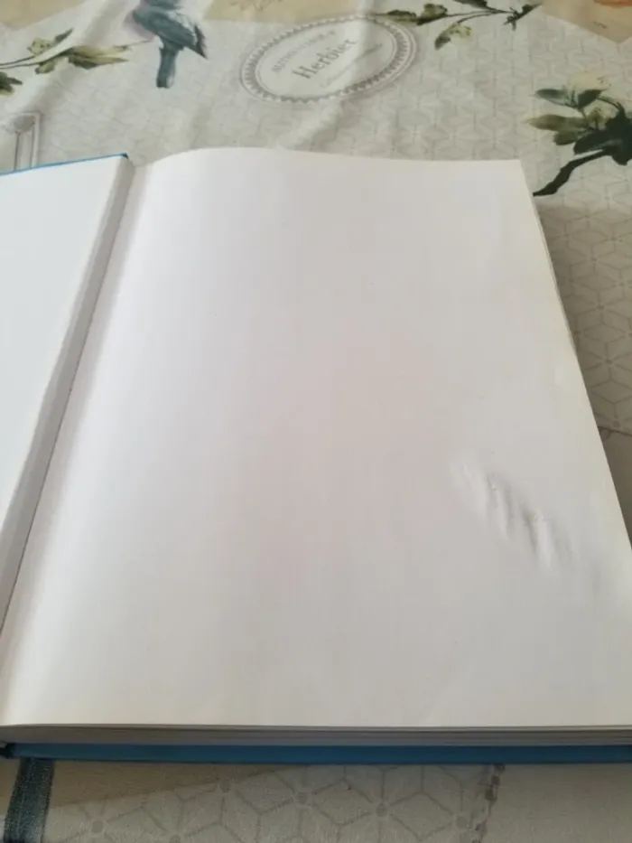 Mon dictionnaire d' Anglais 304 pages - photo numéro 10
