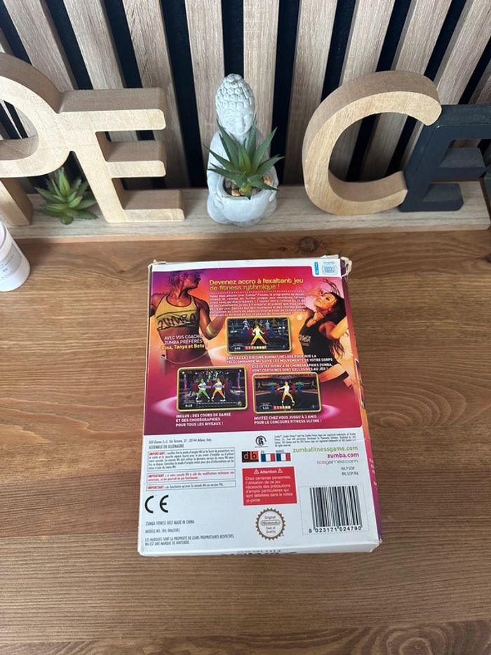Jeu Zumba Wii - photo numéro 3