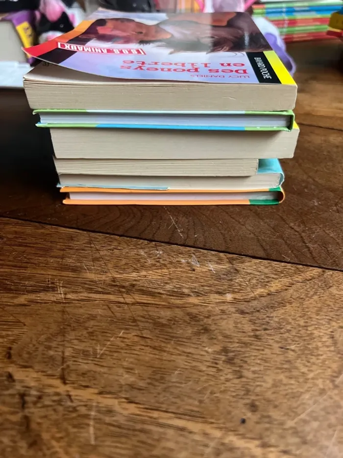 Lot livre sur les chevaux et poney - photo numéro 4