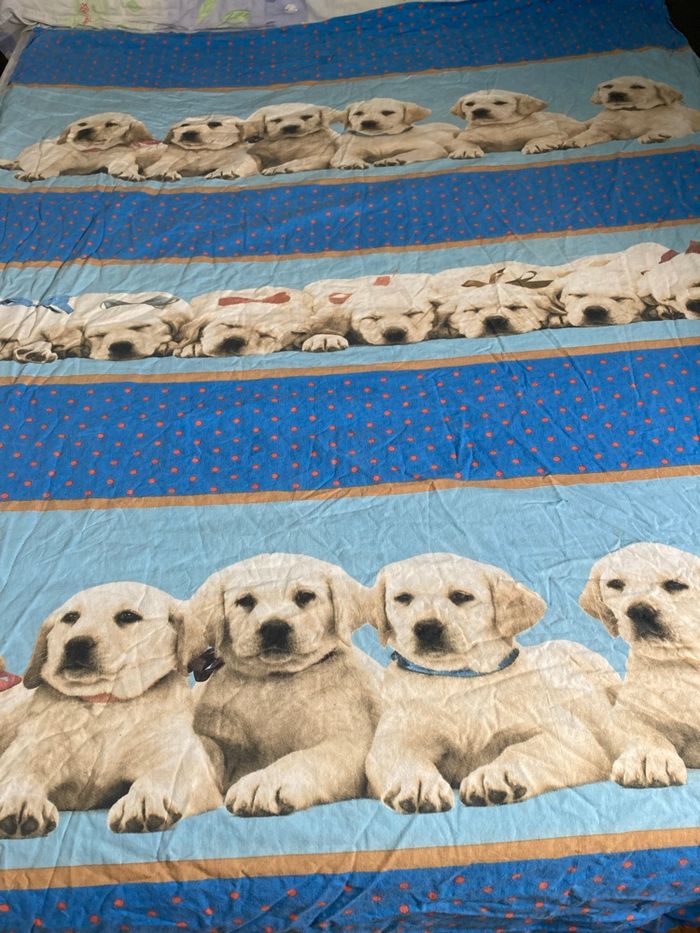 Housse de couette chien