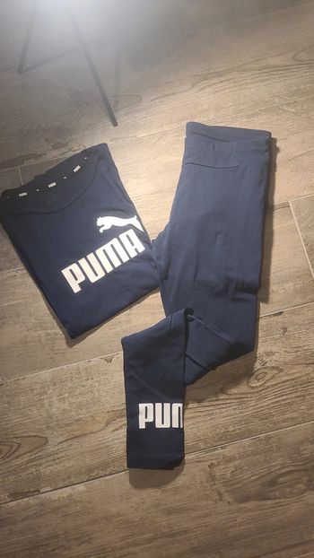 Ensemble puma