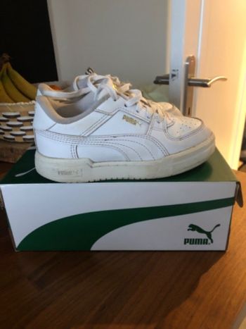 Basket puma