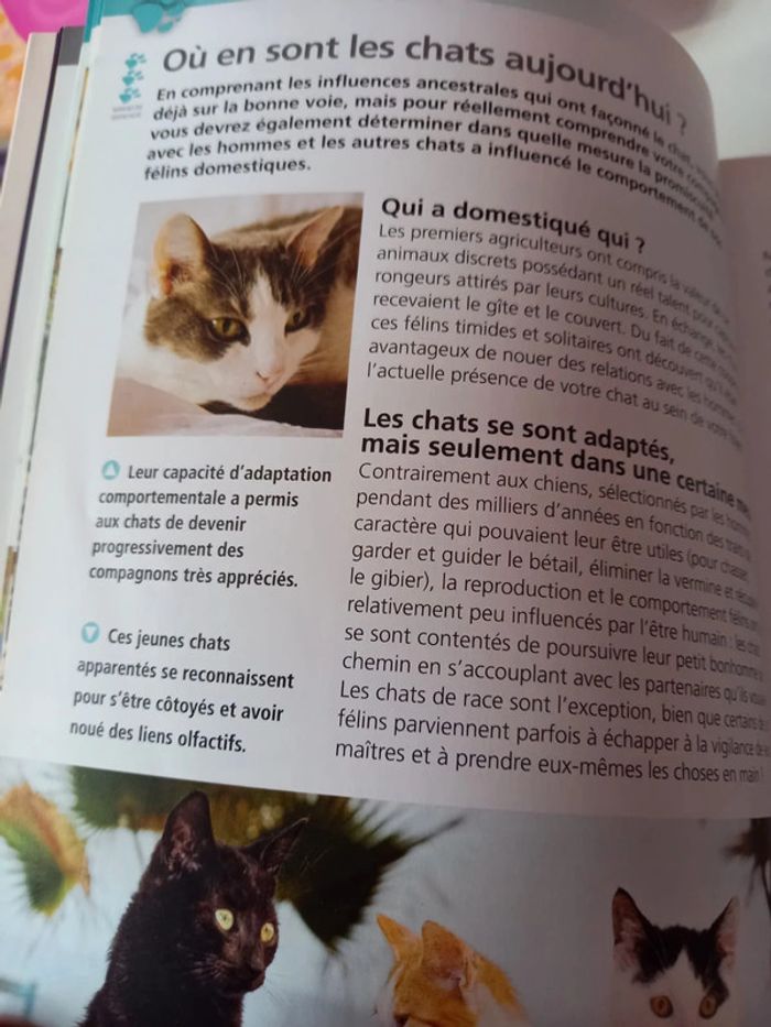 Livre "que veut mon chat ?" - photo numéro 3