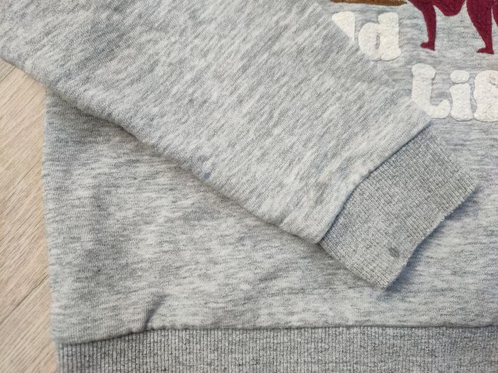 Tenue mi-saison garçon 4 ans sweat tee-shirt et pantalon - photo numéro 5