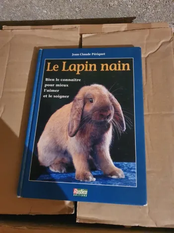 Livre le lapin nain