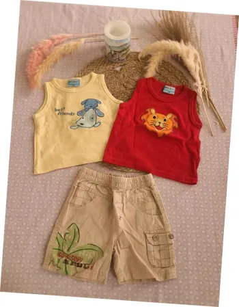 Lot t-shirts et short 12 mois