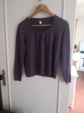 Pull violet mayflower