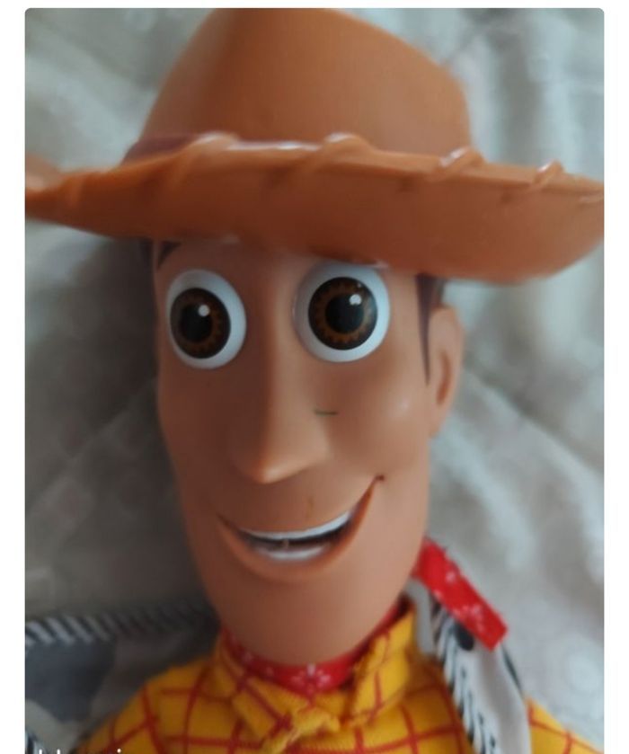 Woody parlant toy's stories - photo numéro 9