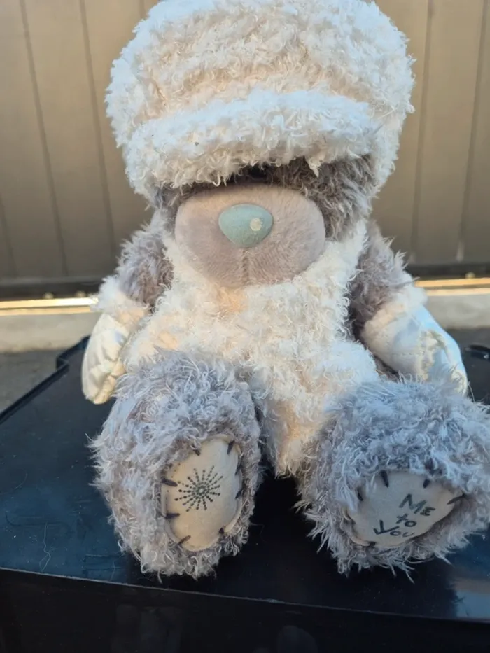 Peluche me to you - photo numéro 2