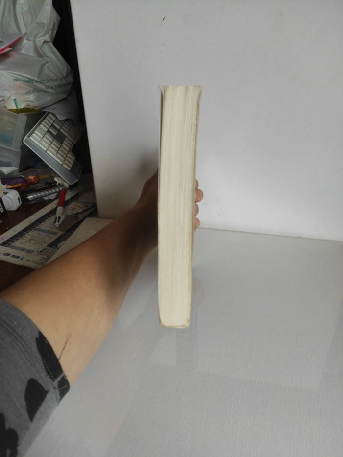 Livre grand format Micah tome 13 de la série anita blake - photo numéro 6