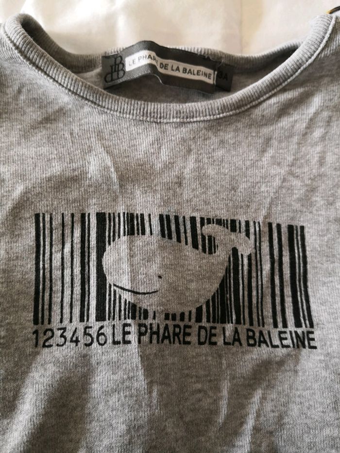 Baleine - photo numéro 2