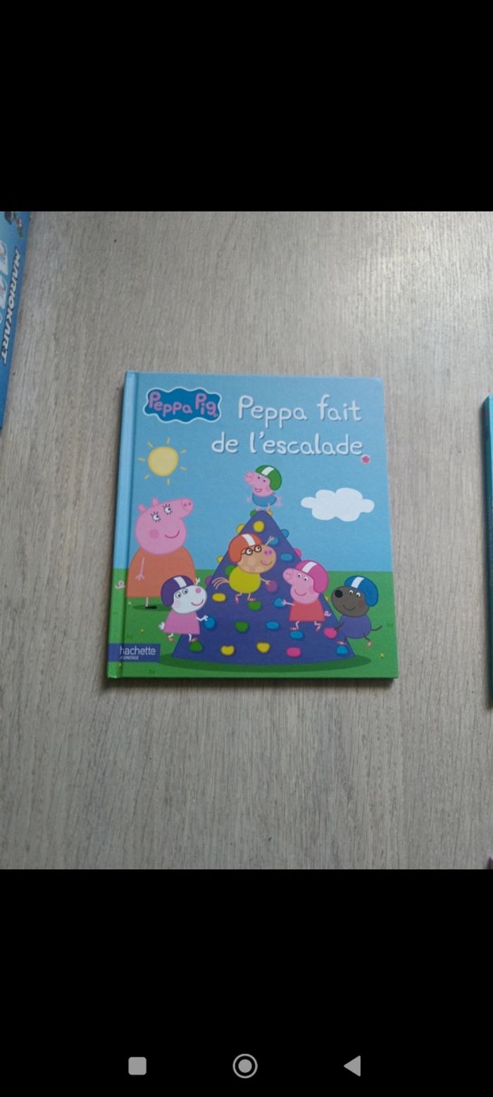Lot livre Peppa pig - photo numéro 2
