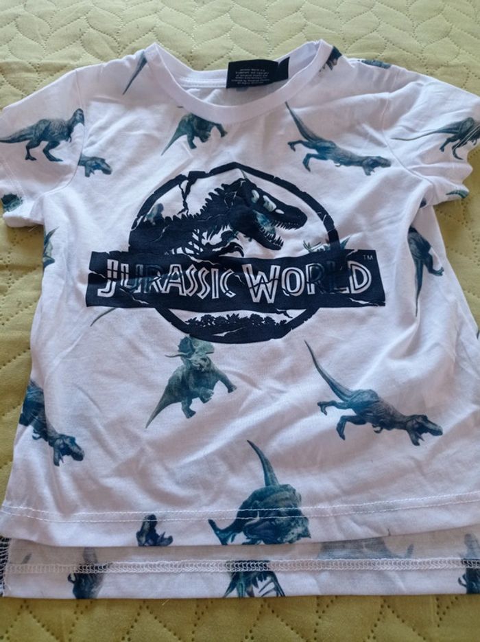 Tee shirt jurassik Park 18 2 ans