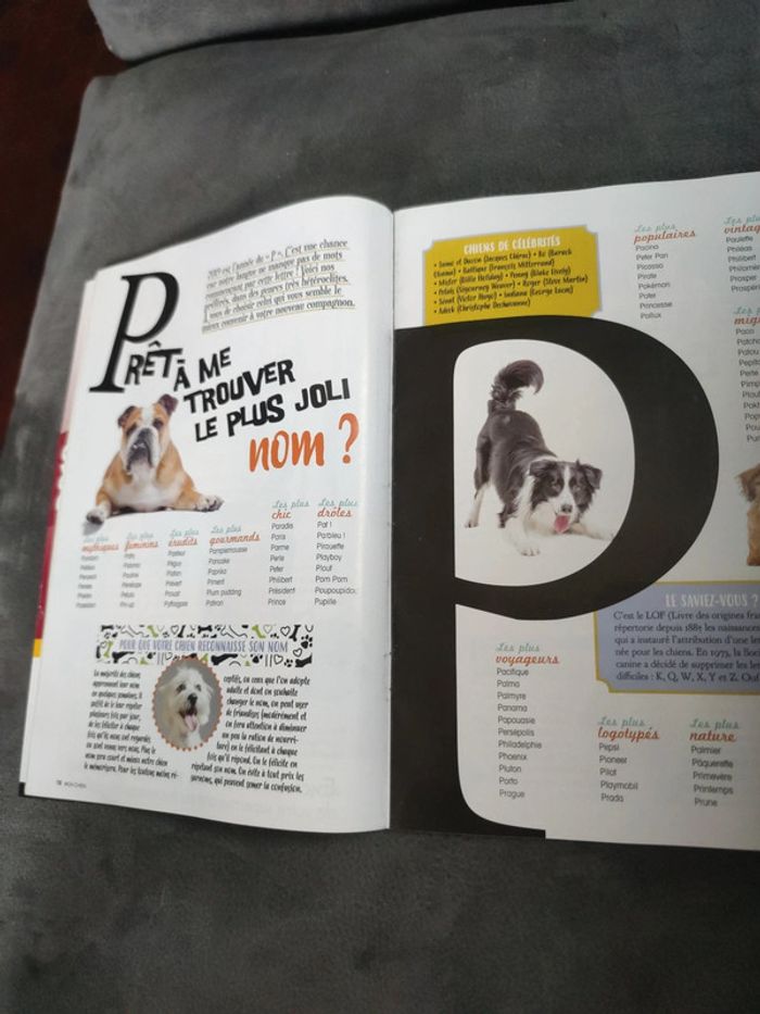 Hors série natur'elle Mon chien numéro 5 février mars 2019 - photo numéro 6
