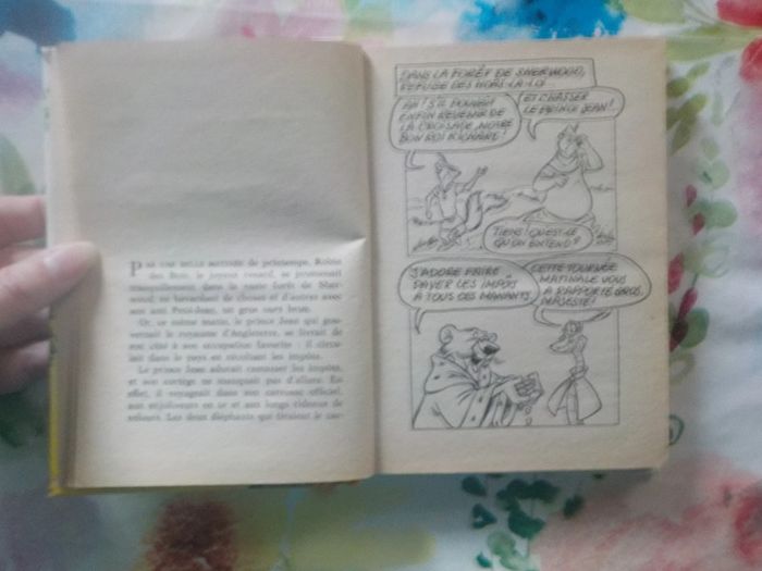 2 Bibliothèque Rose Robin des Bois et La Belle et le Clochard - photo numéro 8