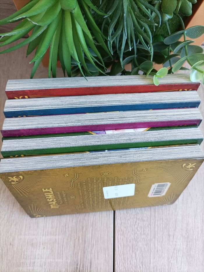 Lot 5 mangas Mashle numéro 1 à 5 kaze - photo numéro 4