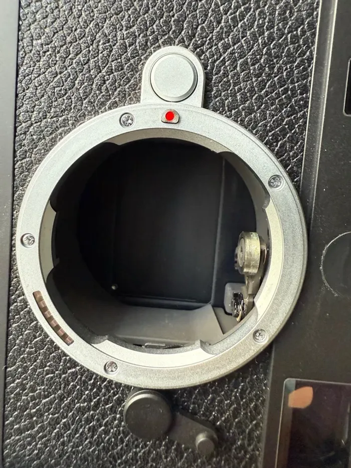 Leica M11. - photo numéro 5