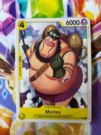 Carte one piece neuf