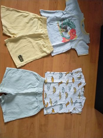 Lot 2 pyjashorts