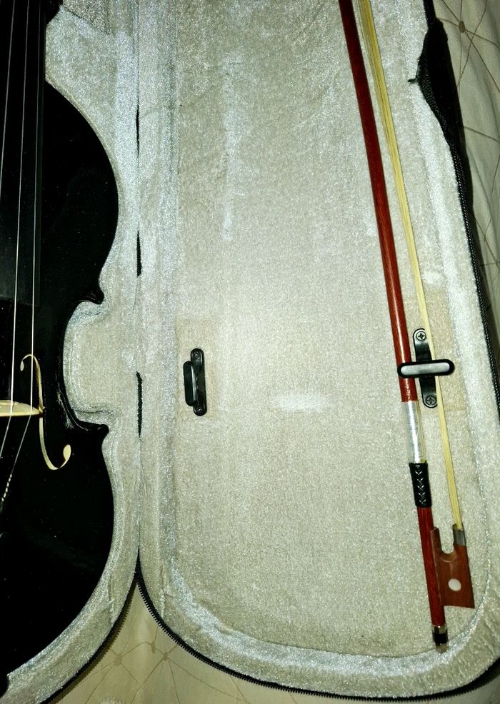 Violon entier + cordes + boite + archet - photo numéro 10
