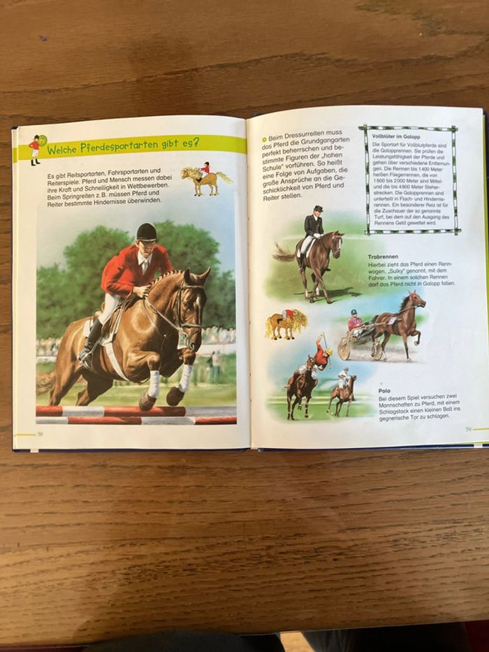 Buch Pferd - photo numéro 3