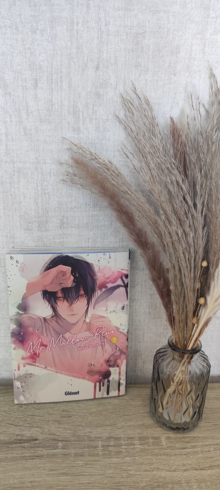 Mr mallow blue 2