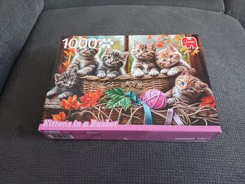 Puzzle 1000 pièces 