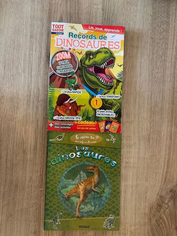 Lot de 2 livres dinosaures