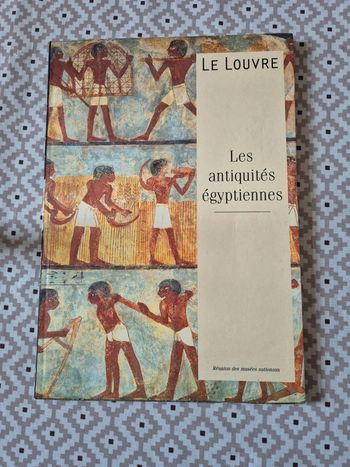 Livre le Louvre les antiquités égyptiennes