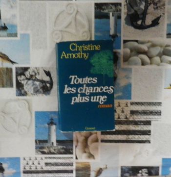 Toutes les chances plus une de Christine Arnothy