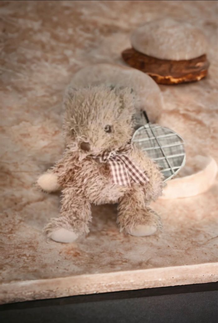 Peluche ours🧸