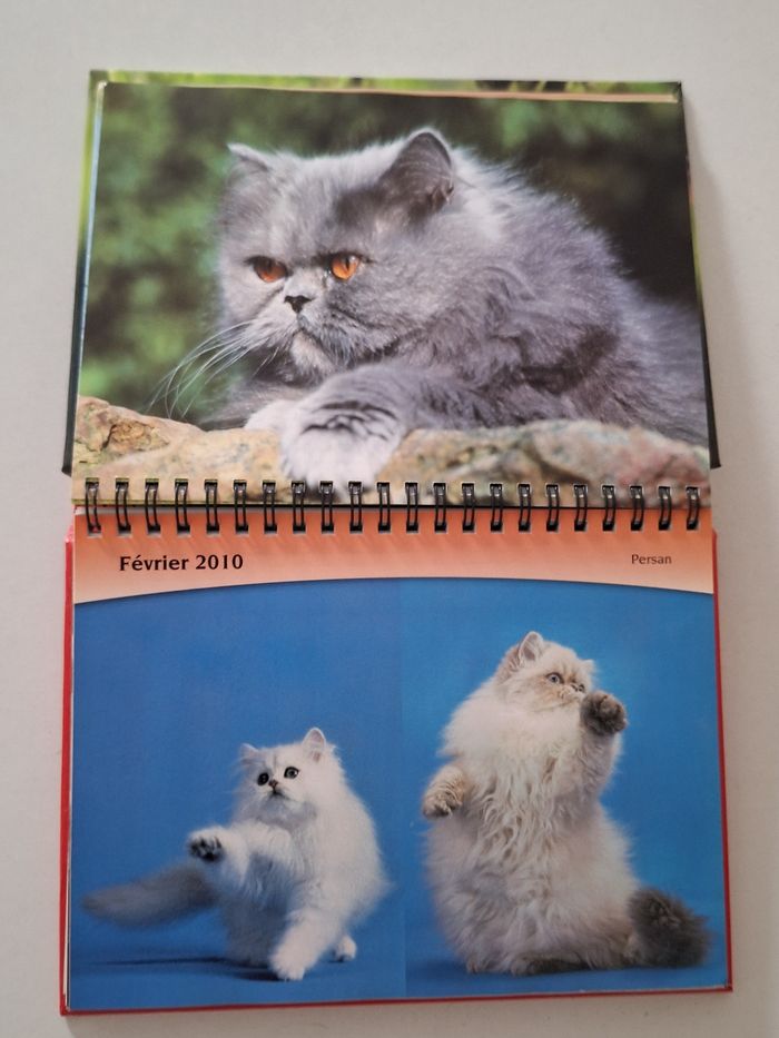 Superbe agenda collector 2009-2010 Royal Canin - photo numéro 2