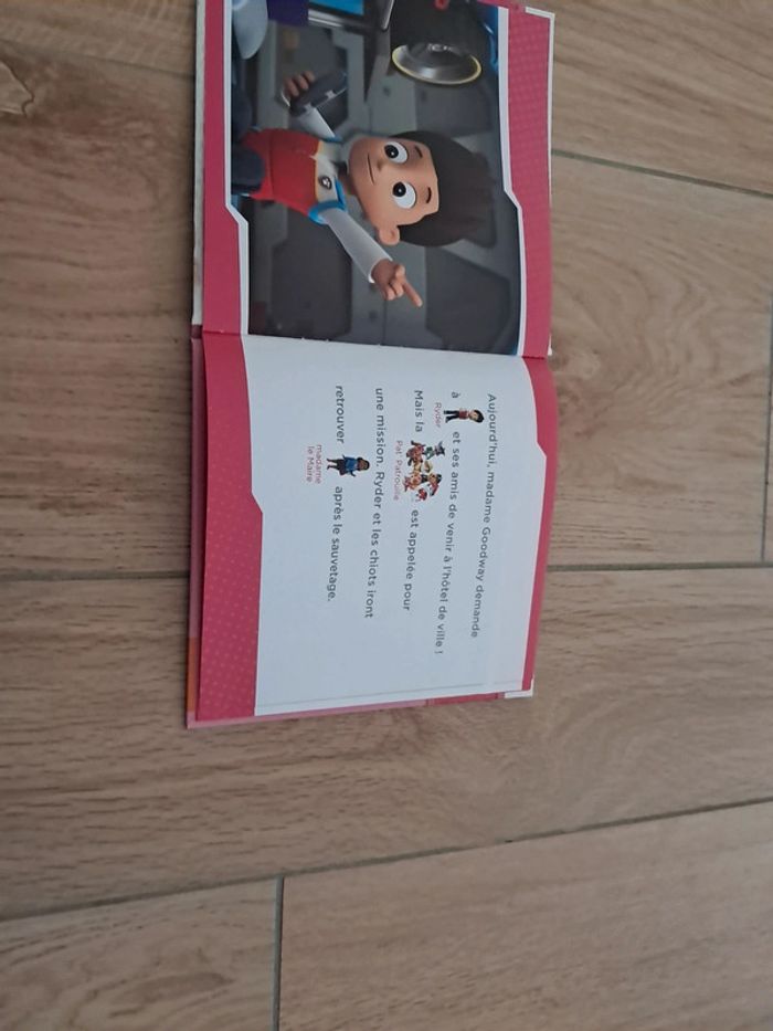 Paw patrol la fete surprise - photo numéro 2