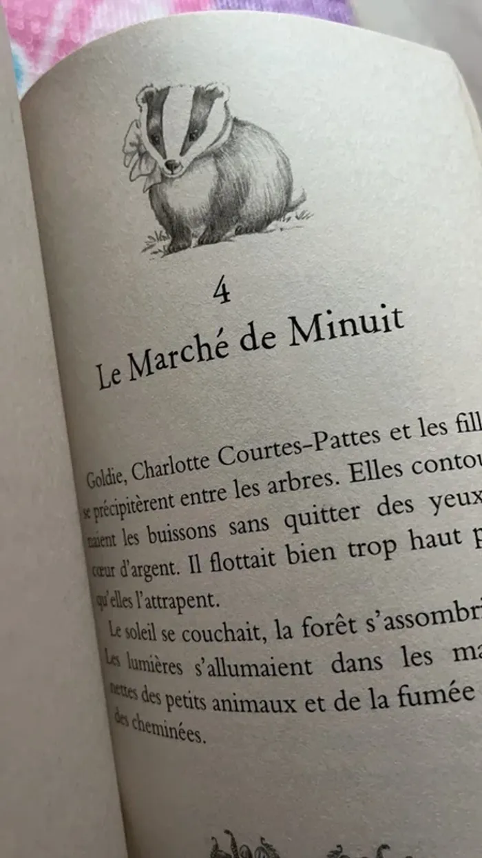 Mes amis de la forêt enchantés - photo numéro 7