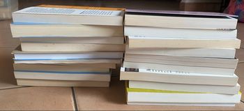 Lot mystère 20 livres