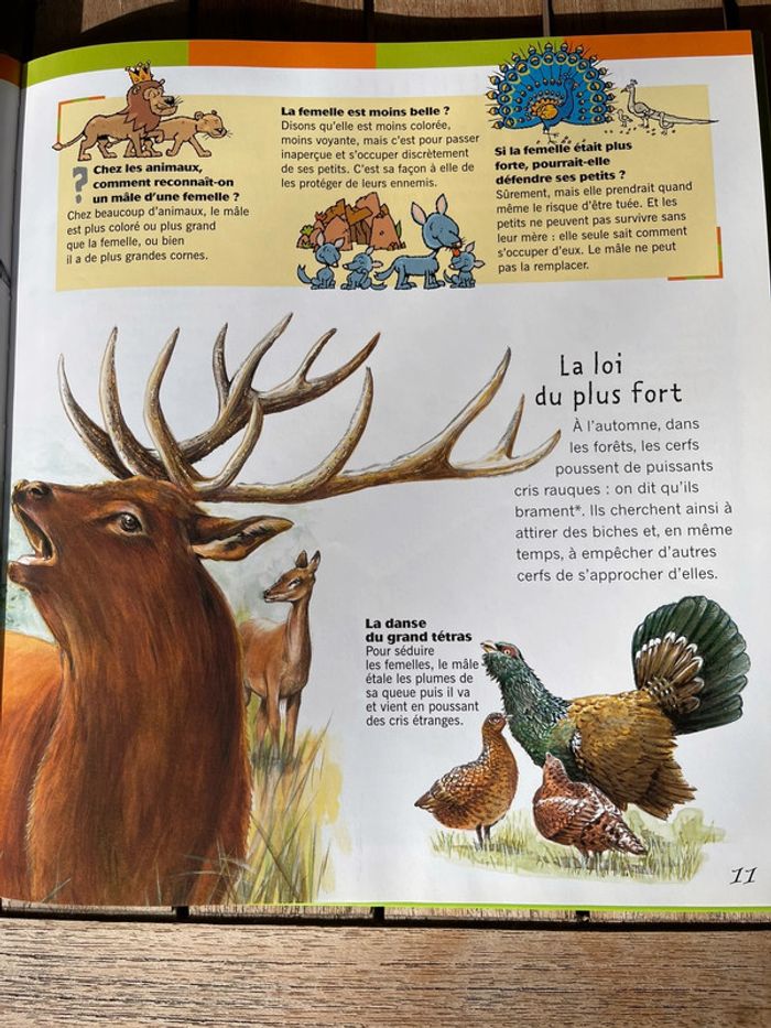 livre l’encyclopédie Larousse - photo numéro 6