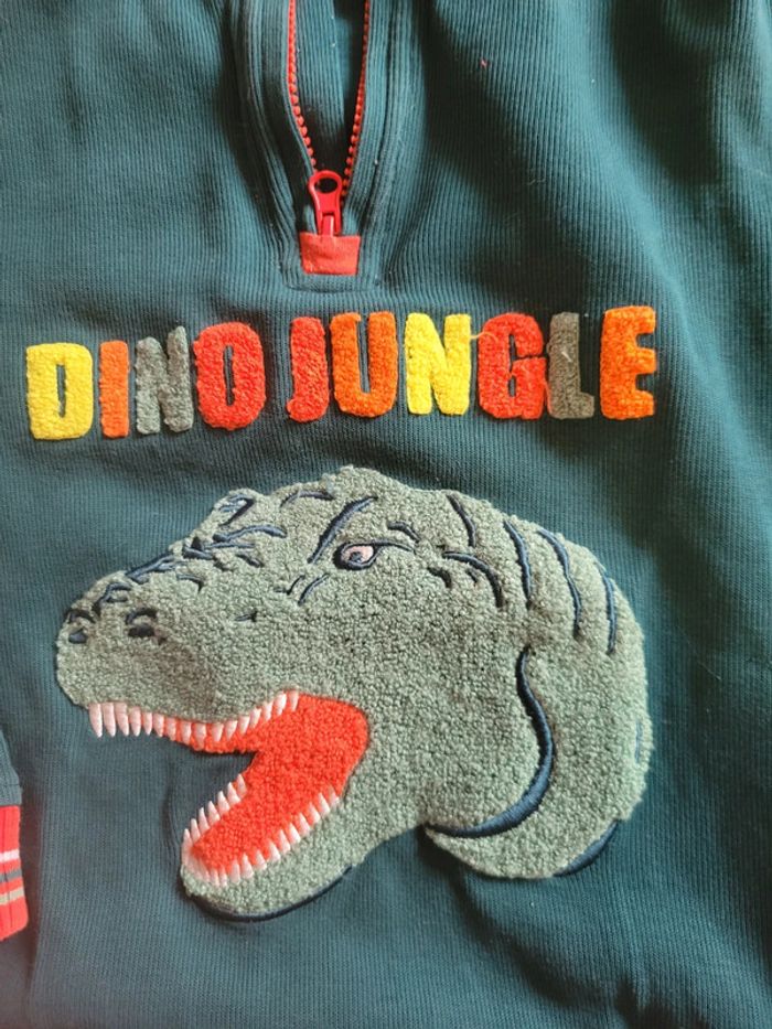 Pull dinosaure 11ans - photo numéro 2