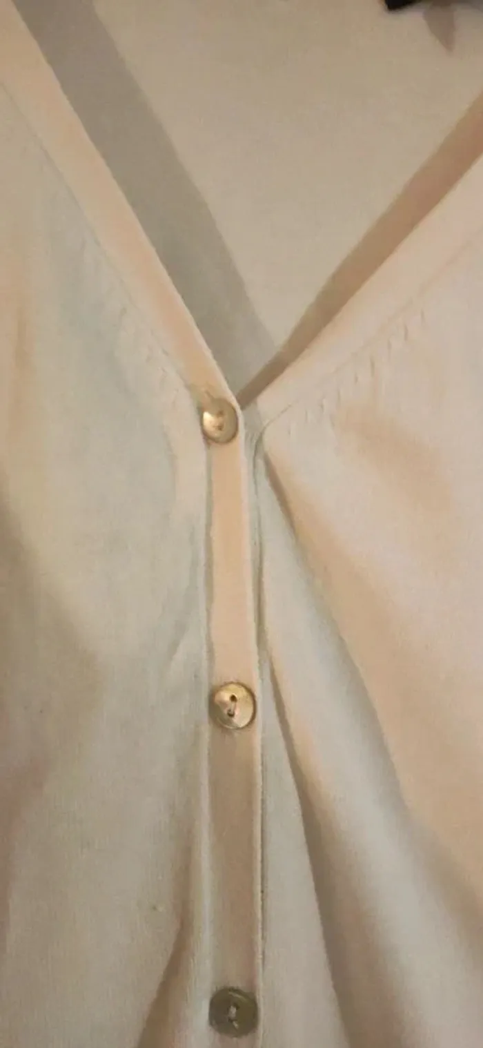 Gilet intemporel - photo numéro 5