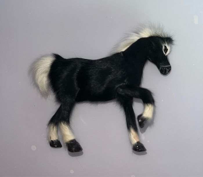 Petit cheval - photo numéro 2