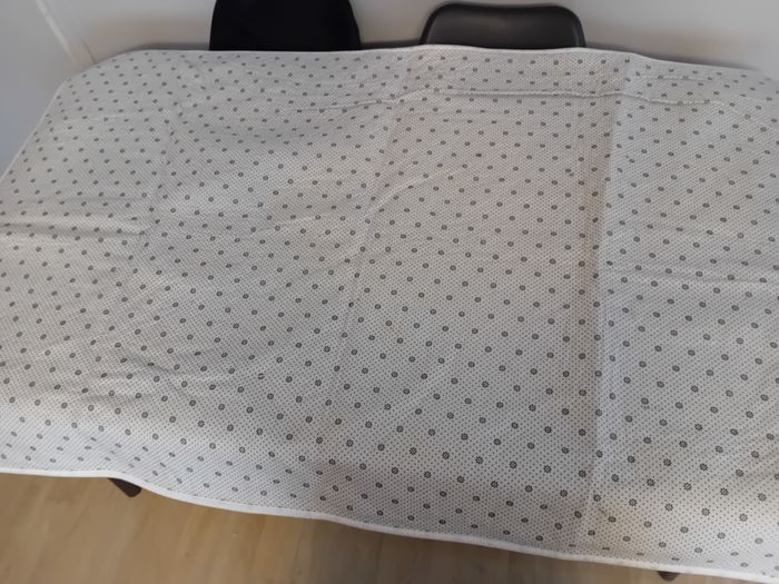 Tapis dinosaures - photo numéro 3