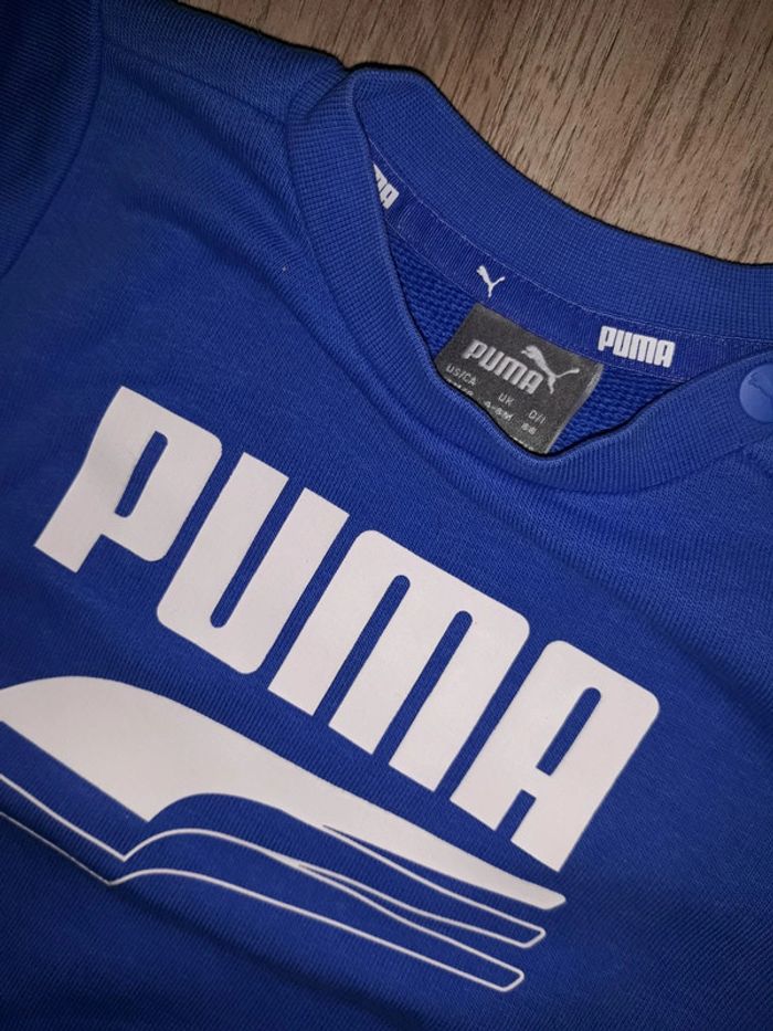 Survetement puma - photo numéro 3