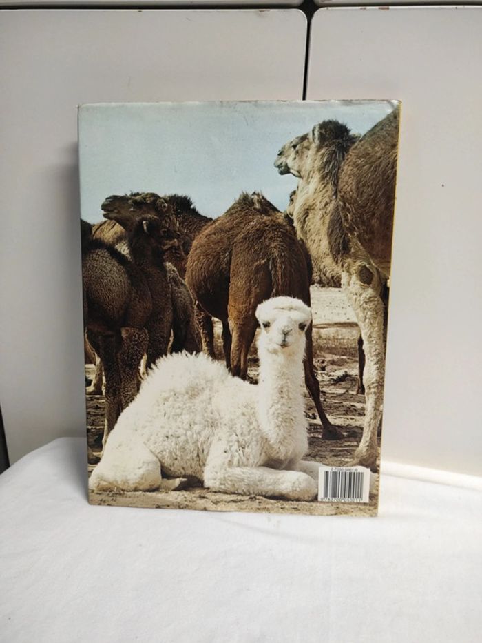 Les bébés animaux, Robert Burton - photo numéro 2